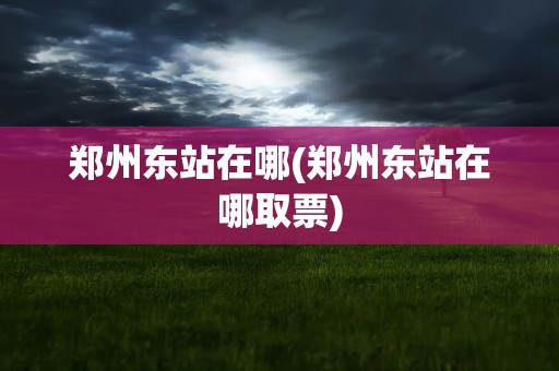 郑州东站在哪(郑州东站在哪取票)