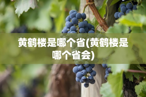 黄鹤楼是哪个省(黄鹤楼是哪个省会)
