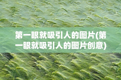 第一眼就吸引人的图片(第一眼就吸引人的图片创意)
