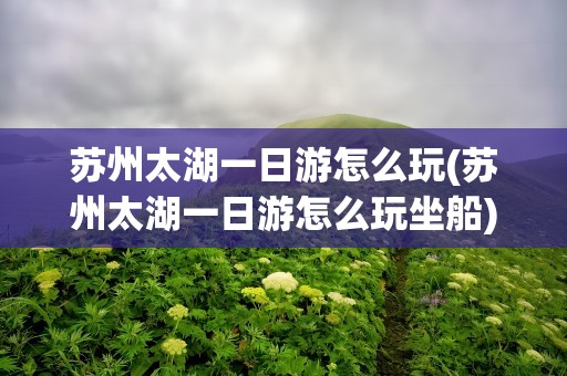 苏州太湖一日游怎么玩(苏州太湖一日游怎么玩坐船)