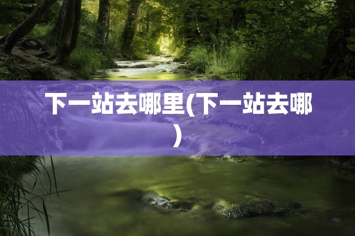 下一站去哪里(下一站去哪)