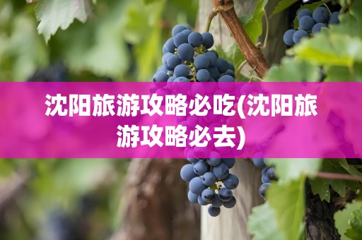 沈阳旅游攻略必吃(沈阳旅游攻略必去)