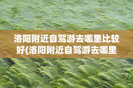洛阳附近自驾游去哪里比较好(洛阳附近自驾游去哪里比较好玩)
