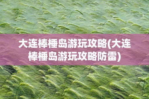 大连棒棰岛游玩攻略(大连棒棰岛游玩攻略防雷)