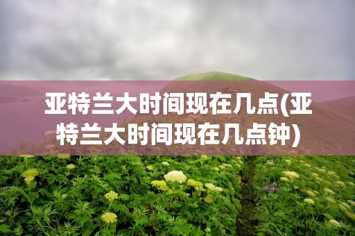 亚特兰大时间现在几点(亚特兰大时间现在几点钟)