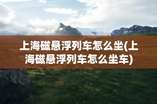 上海磁悬浮列车怎么坐(上海磁悬浮列车怎么坐车)