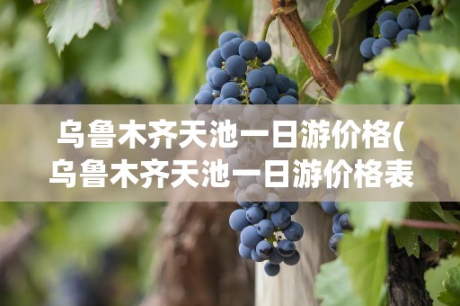 乌鲁木齐天池一日游价格(乌鲁木齐天池一日游价格表)