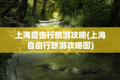 上海自由行旅游攻略(上海自由行旅游攻略图)