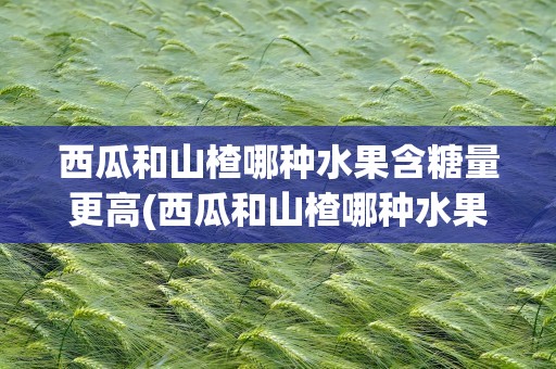 西瓜和山楂哪种水果含糖量更高(西瓜和山楂哪种水果含糖量更高些)