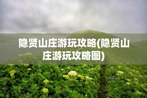 隐贤山庄游玩攻略(隐贤山庄游玩攻略图)
