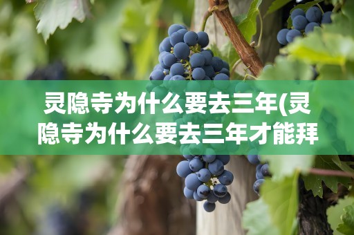 灵隐寺为什么要去三年(灵隐寺为什么要去三年才能拜)