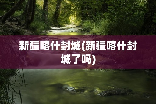 新疆喀什封城(新疆喀什封城了吗)