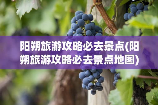 阳朔旅游攻略必去景点(阳朔旅游攻略必去景点地图)