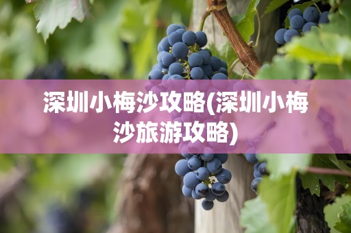 深圳小梅沙攻略(深圳小梅沙旅游攻略)