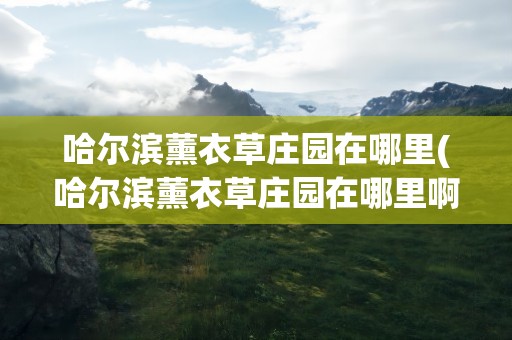 哈尔滨薰衣草庄园在哪里(哈尔滨薰衣草庄园在哪里啊)