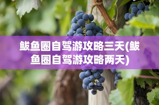 鲅鱼圈自驾游攻略三天(鲅鱼圈自驾游攻略两天)