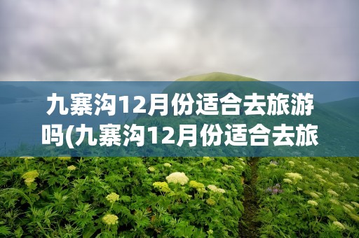 九寨沟12月份适合去旅游吗(九寨沟12月份适合去旅游吗请问)