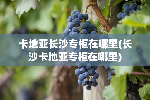 卡地亚长沙专柜在哪里(长沙卡地亚专柜在哪里)