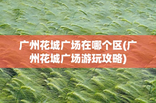 广州花城广场在哪个区(广州花城广场游玩攻略)