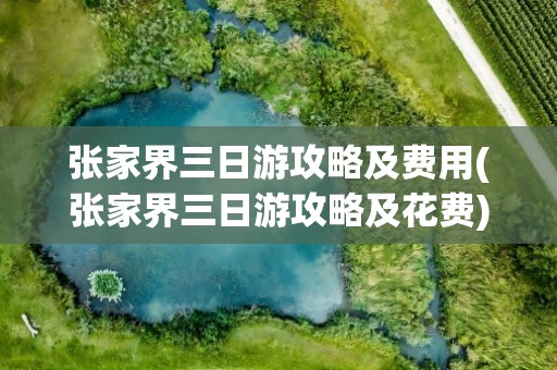 张家界三日游攻略及费用(张家界三日游攻略及花费)
