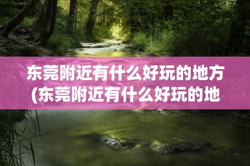 东莞附近有什么好玩的地方(东莞附近有什么好玩的地方推荐)