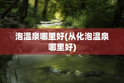 泡温泉哪里好(从化泡温泉哪里好)