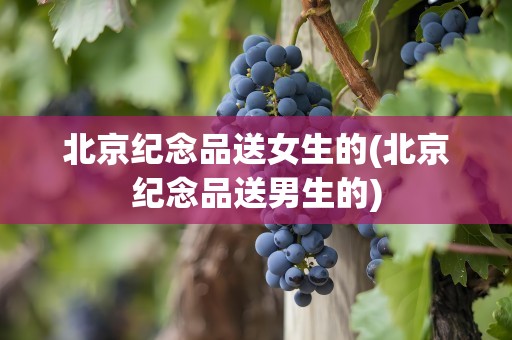 北京纪念品送女生的(北京纪念品送男生的)