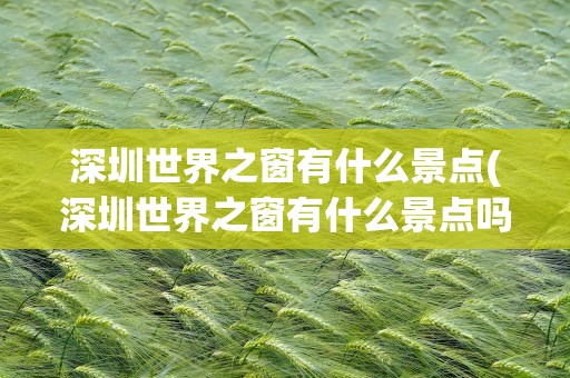 深圳世界之窗有什么景点(深圳世界之窗有什么景点吗)