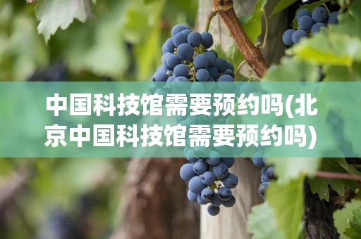 中国科技馆需要预约吗(北京中国科技馆需要预约吗)