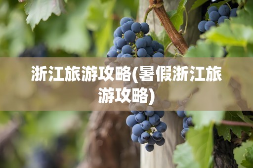 浙江旅游攻略(暑假浙江旅游攻略)