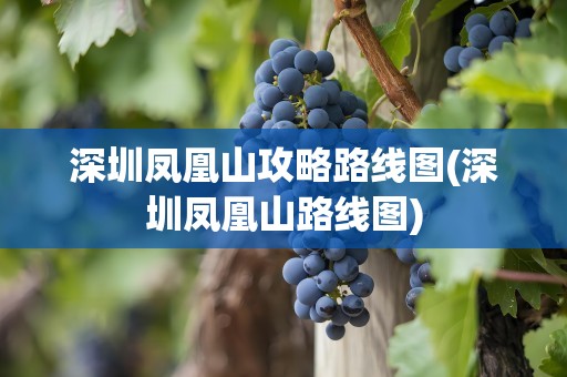 深圳凤凰山攻略路线图(深圳凤凰山路线图)