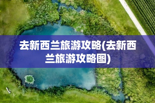 去新西兰旅游攻略(去新西兰旅游攻略图)