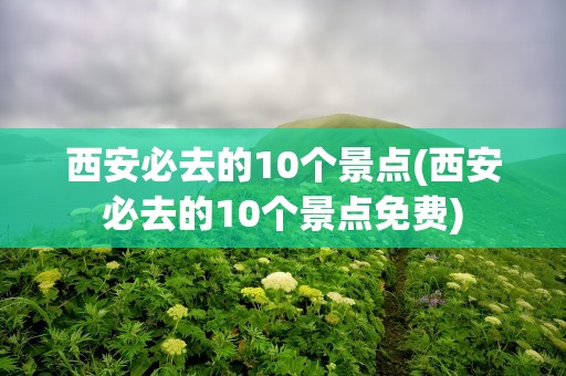 西安必去的10个景点(西安必去的10个景点免费)