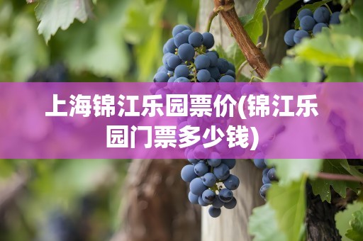 上海锦江乐园票价(锦江乐园门票多少钱)