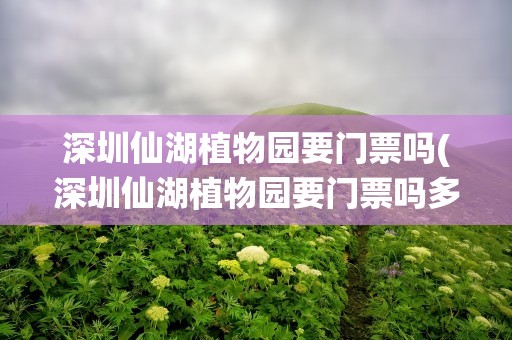 深圳仙湖植物园要门票吗(深圳仙湖植物园要门票吗多少钱)