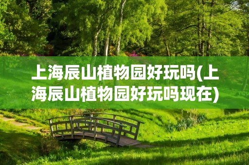 上海辰山植物园好玩吗(上海辰山植物园好玩吗现在)