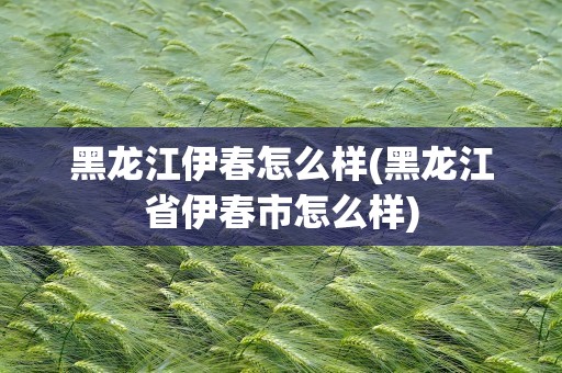 黑龙江伊春怎么样(黑龙江省伊春市怎么样)