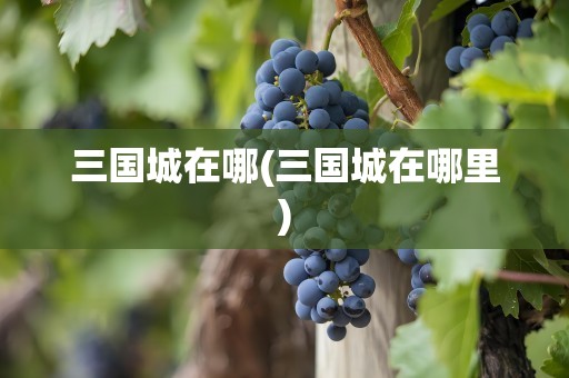 三国城在哪(三国城在哪里)