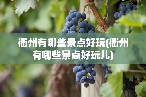 衢州有哪些景点好玩(衢州有哪些景点好玩儿)
