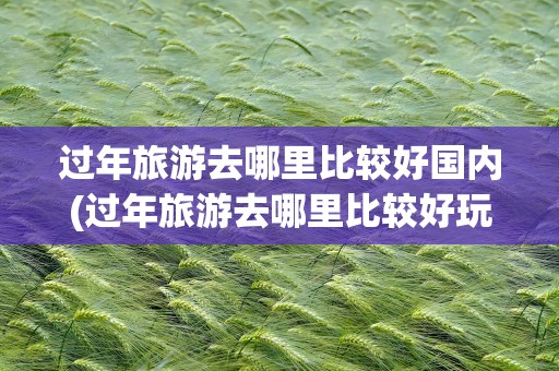 过年旅游去哪里比较好国内(过年旅游去哪里比较好玩)