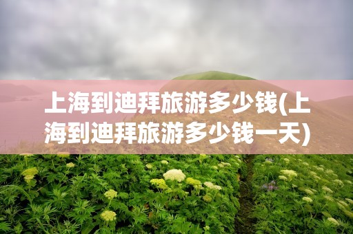 上海到迪拜旅游多少钱(上海到迪拜旅游多少钱一天)