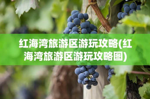 红海湾旅游区游玩攻略(红海湾旅游区游玩攻略图)