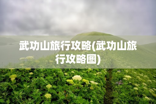 武功山旅行攻略(武功山旅行攻略图)