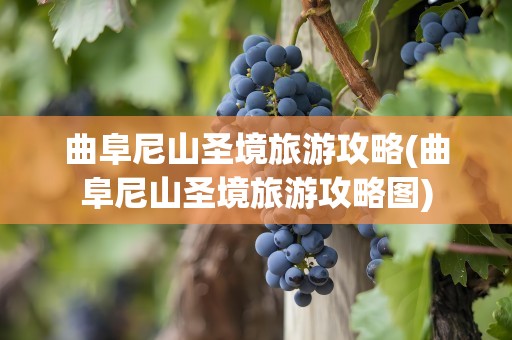 曲阜尼山圣境旅游攻略(曲阜尼山圣境旅游攻略图)