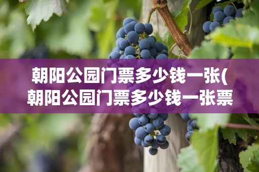 朝阳公园门票多少钱一张(朝阳公园门票多少钱一张票)