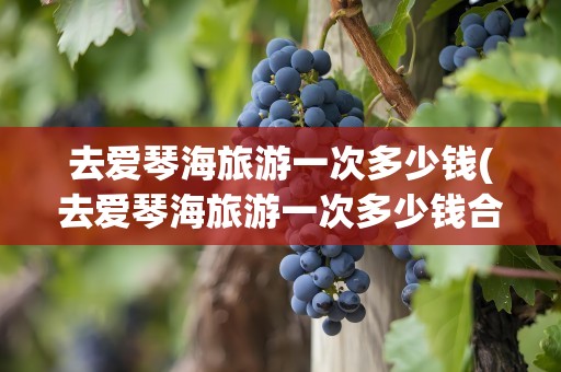 去爱琴海旅游一次多少钱(去爱琴海旅游一次多少钱合适)