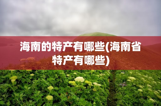 海南的特产有哪些(海南省特产有哪些)
