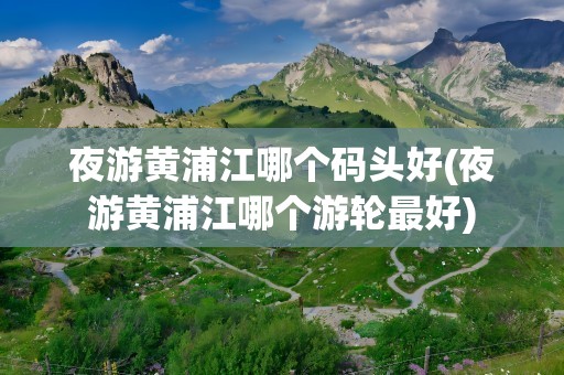 夜游黄浦江哪个码头好(夜游黄浦江哪个游轮最好)