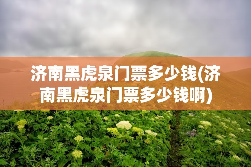 济南黑虎泉门票多少钱(济南黑虎泉门票多少钱啊)