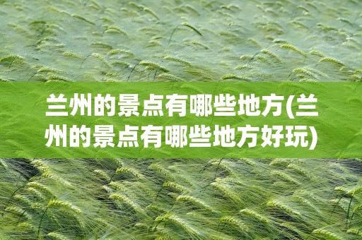 兰州的景点有哪些地方(兰州的景点有哪些地方好玩)
